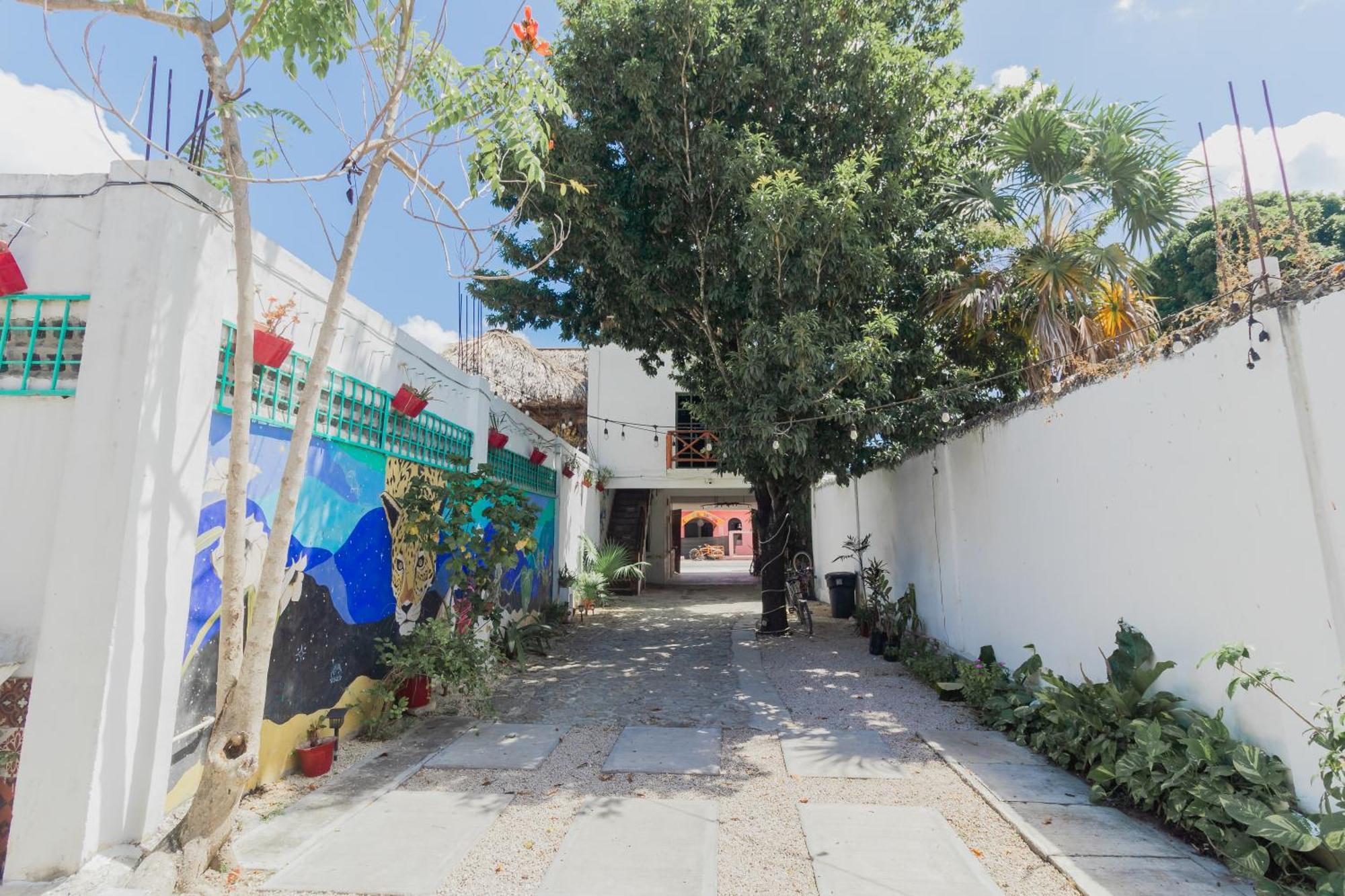 Hotel Szapot Bacalar Eksteriør billede